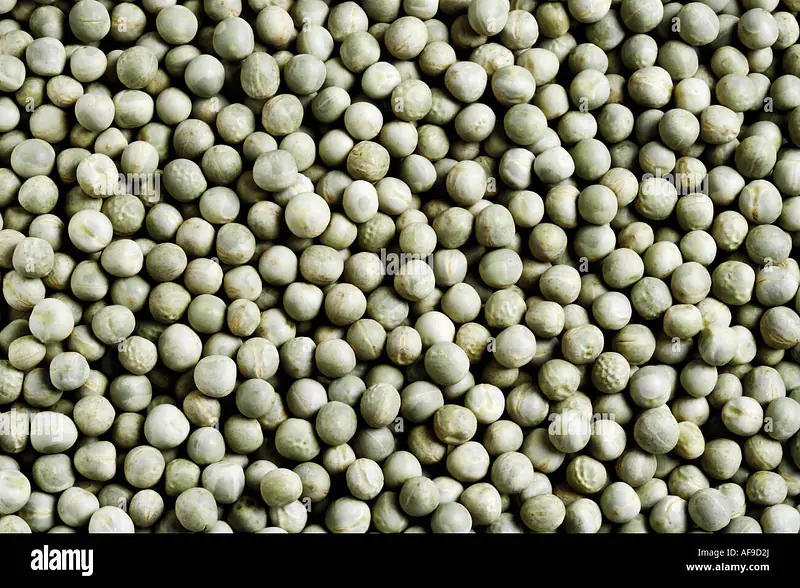 Vatana Green 30kg - Master