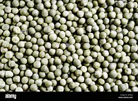 Vatana Green 30kg - Master