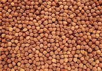 Chana 30 kg - Master