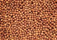 Chana 30 kg - Master