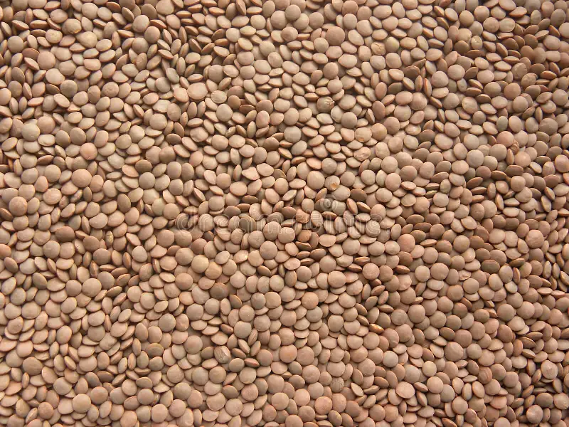 Masoor 30kg - Master