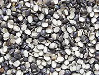 Urad Dal Black 30 kg - Master