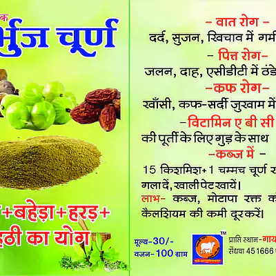 Samrat Besan 500gm - Master