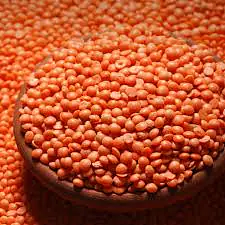 Masoor Dal 30kg - Master