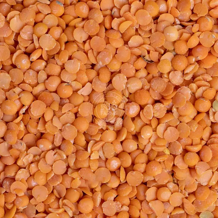 Masoor Dal 30kg - Master