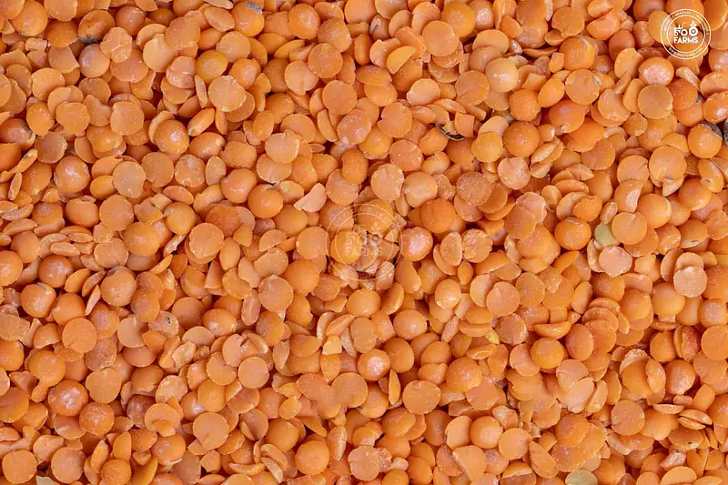 Masoor Dal 30kg - Master