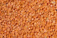 Masoor Dal 30kg - Master