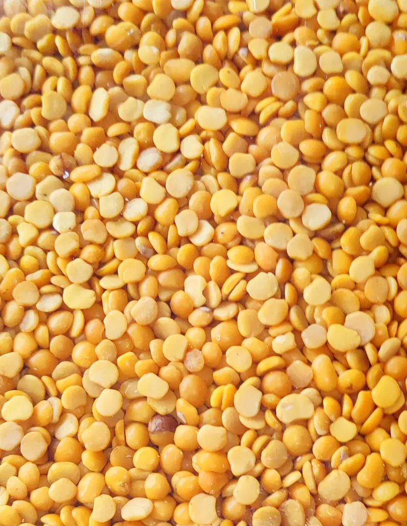 Lion Toor Dal 30kg - Master
