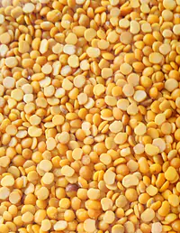 Lion Toor Dal 30kg - Master