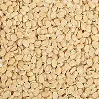 Urad Dal Bold 30kg - Master