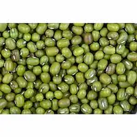 Mung Bold 30kg - Master